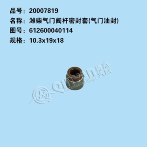 SINOTRUK HOWO FOTON AUMAN ETX ENGINE VALVE SEAL BIG - PART NUMBER 612600040114